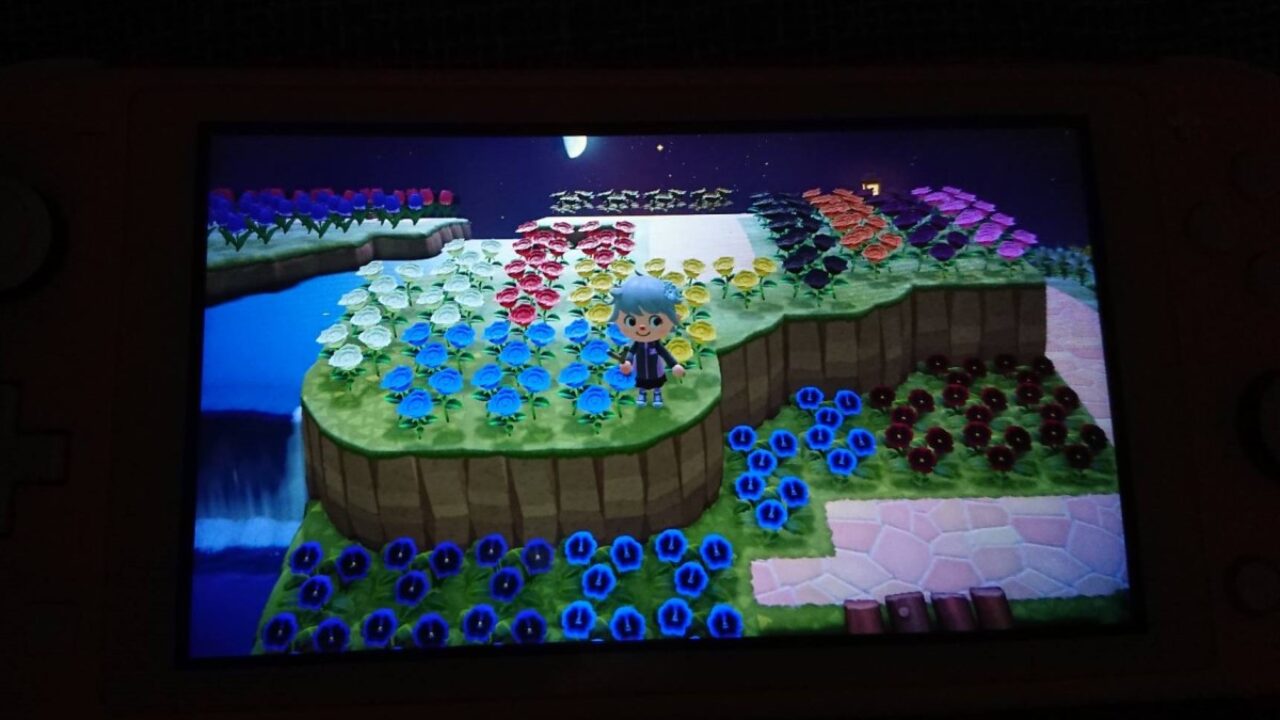 あつ森 紫のアネモネ 青いバラの交配に成功した手順 Pcとスマホとゲーム